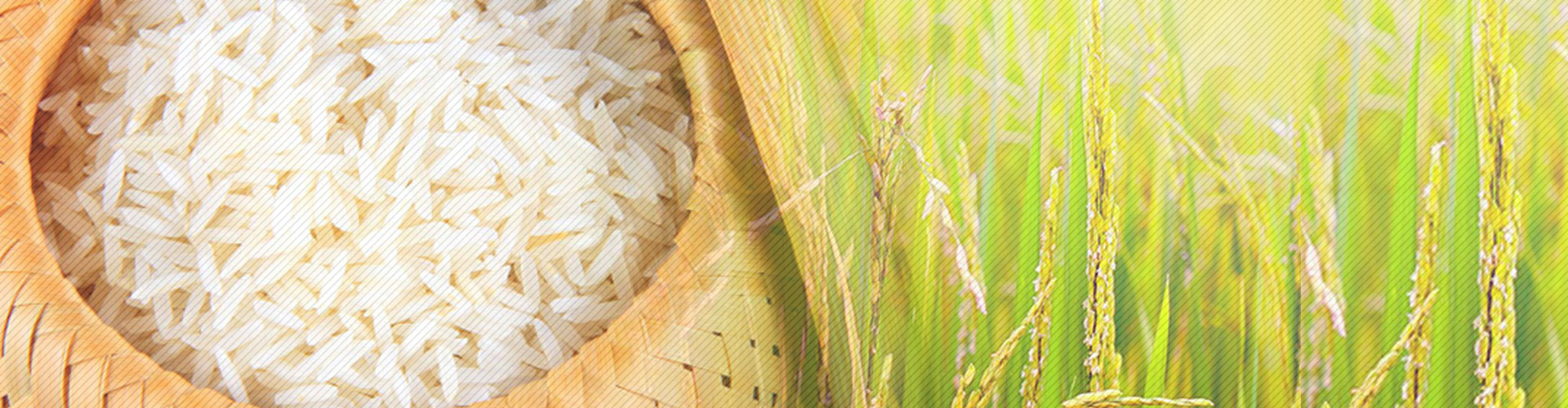 Slide background
