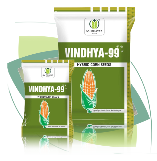 p03 hm08 vindhya 99