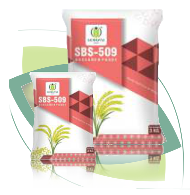 p04 bp01 sbs 509 pb 1509