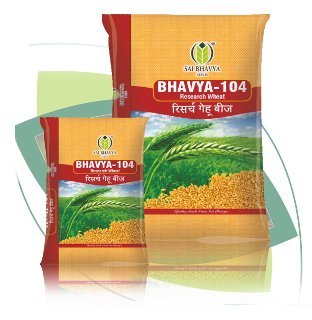p07 rw 01 bhavya 104