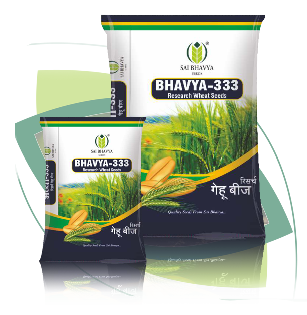 p07 rw 02 bhavya 333