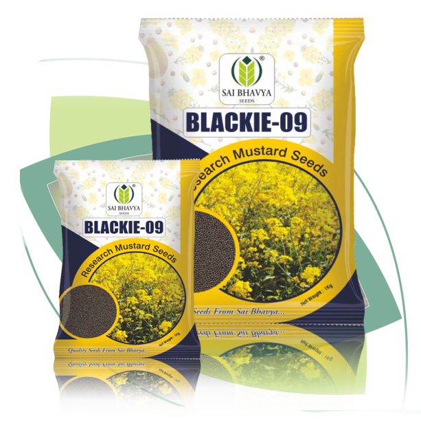 p08 rm bm01 blackie o9