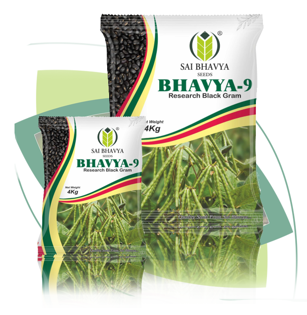 p11 bg03 bhavya 9