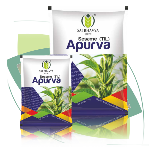 p14 sesame01 apurva