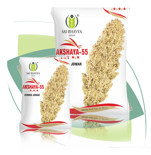 po4 hj 02 akshaya 55