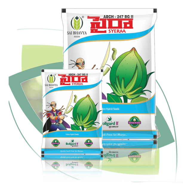 p01 hc03 syeraa bg ii