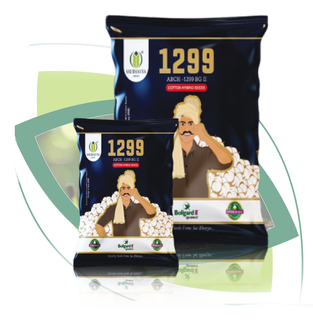 p01 hc08 nayak bg ii