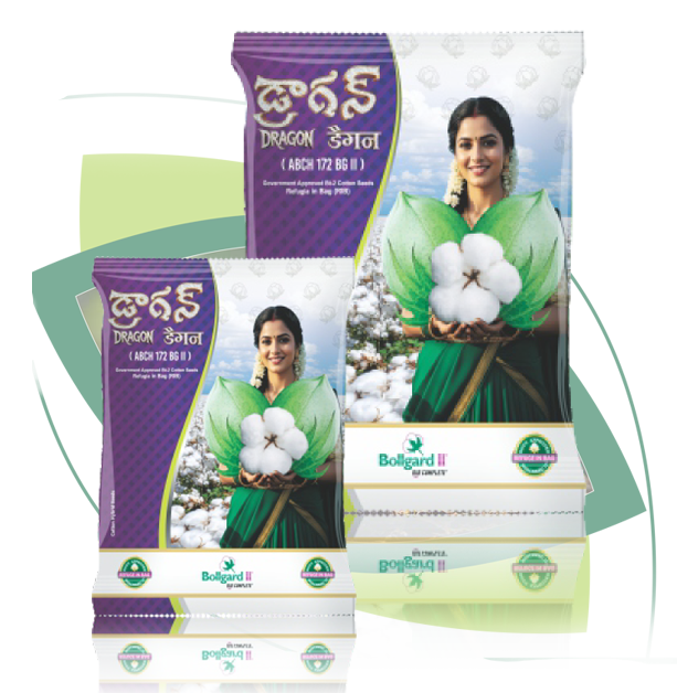 p01 hc10 dragon bg ii