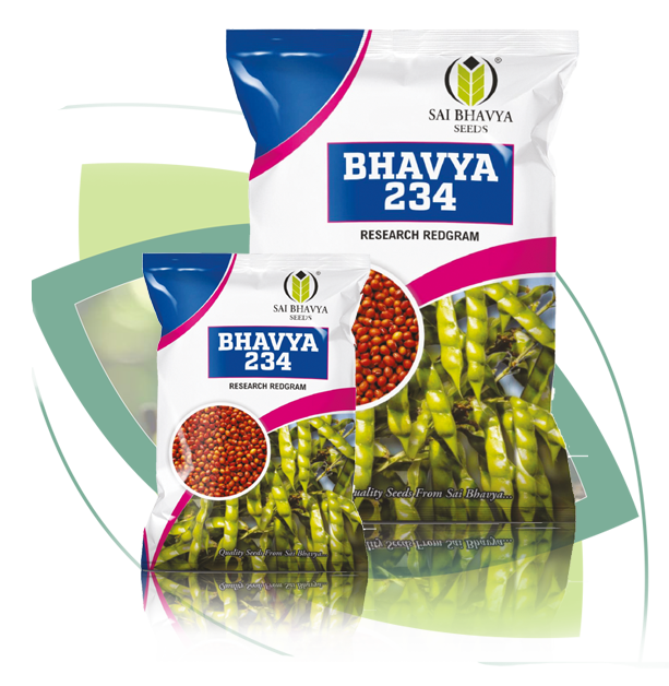 01 bhavya203